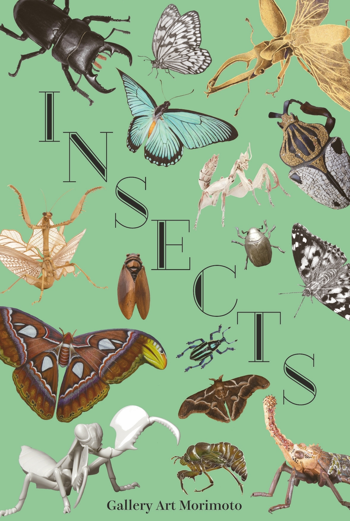 INSECTSDM