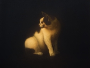 井原信次_Trash cat series - YUJI -_6F.jpg